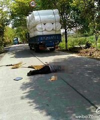 ������һ���ʻ������������Υ�泵���к��ˣ�