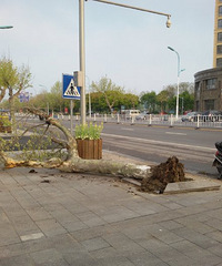 ���������Ȼ���� ·�ߴ�����������