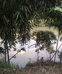 �����ιپ�������������...��һ�����ɵ�����ϴ����