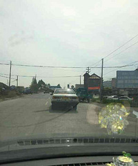 ţ��Ľ�����