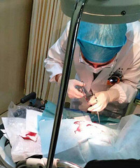 ���귢�����泵�� С�ﱻ�����ں�����