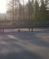 ����ͷ���ϡ����ģ�����·���С���Ǯ������