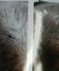 ��ķ������ͻȻ�ǹ� ����һ��ͷ¶��30�ദ�˰�