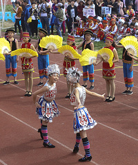 ͩ��é��ʵ��Сѧ�˶��ᣬ��������ʵģ�