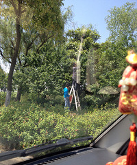 �Ϻ�����Ĳ�ӣ�Ҵ�� �еĴ������е�ֱ��������