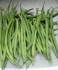 "清炒四季豆"