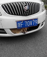 Duang   ��ֻ��˵̫������   ������