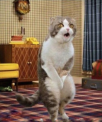 [����]��һ�Լ��ν�ͨ״���²���