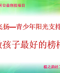 青春飞扬——青少年阳光支持项目活动分享