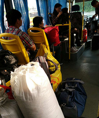 վ�乫���ܲ��ܺúù滮һ�£�̫Σ����