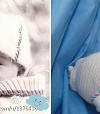 ĸ�׽ڻ--ɹ������ĺ�Ӱ,������ȥ������