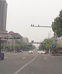 ͩ����ֱȳɶ�Ů˾�����Ե���Υ�±����