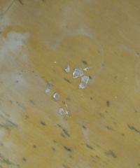 ���﷢��ǹ���¼������������䴩