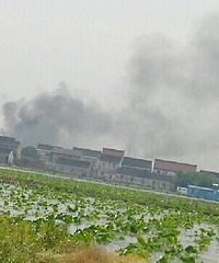 ���������彭�����棬���е�����������