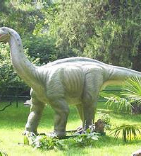 ��ĩ�����蹫����԰�п���չ  ����ģ�