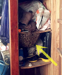 С�������ܺ��� ���ҵĳ�ƨ�ɸ����Ŀȫ��