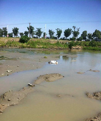 ����ˮ�����֡����ڿ㡱��ʬ��