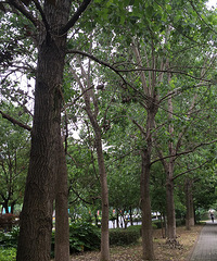 ��������С·���δ������Ҳ����Զʧȥ��....