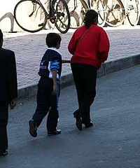 ���������С������ѧ ����ȴ��͵��