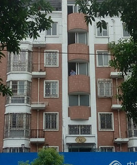 �Ժ�������ˣ���˵�Ϲ�ɱ������ ͷ���򱬣�