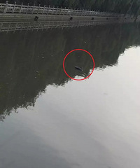 ͩ������·���﷢����ʬ �ÿֲ�����С����