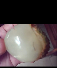 �������֦���ҳ���ǰ����˵����֦��ҩˮ