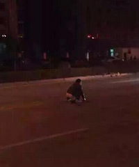 [����]��·�������α�ײ����ѡ������