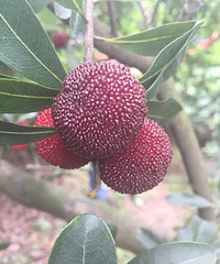 ������Ϫ��÷�ִ��������ض��飡���Բɿ��ģ�