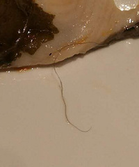 �������ź�����ȥ�� ����Գ�һ����ë