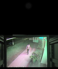 ��Ȼ�������ֳ���͵��������ȫ����Ԥı��