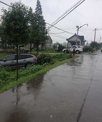 ������������˫˫��������~