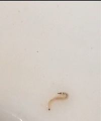 ����ˮ��������ˮ�г���~��