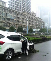 ײ��·����֦��ȫ���ҵ��� �������ֶ����ˣ�