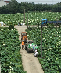 С����˾���Ӹ��绰һ��С�ģ�����ź���