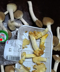 ����ȥ�������й�������� ����Ҫ�����װ���²㶫��