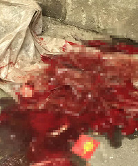 ���磡ƽ���ɷ�С��ʩ���ֳ�����׹�� һ��һ��