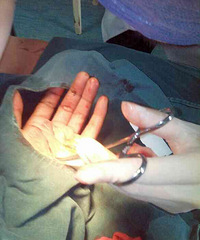 �й����ڵ�̨�ʴ���ҵ ��˾��Ȼ�涨û�й��ˣ�