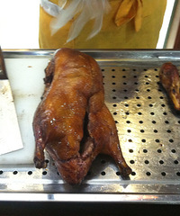 ���żҵĿ�Ѽ�⼸���� Ѽ�ǻ��������ɽ��ε�