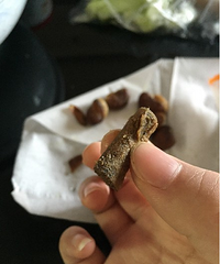 �������������Գ�����ƨ�ɣ�����������