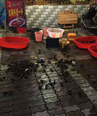 �Ǳ���·������Ź