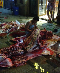 ������ţ,����Ѫ��,�����ô��