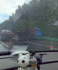 320��һ���¹�