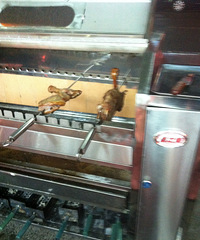 ҹ��ʥ����ˮ���¿�һ���տ��� ���п�������