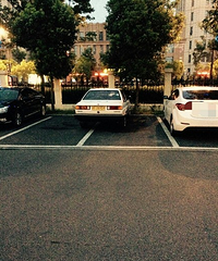 ������λ�������ͣ�� ��У��ѧ��֪����