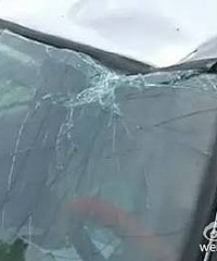 ����÷԰·��һ�����ڳ������ұ��ˣ�