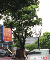 ����Ʈ������·�� �ǳ�Σ��