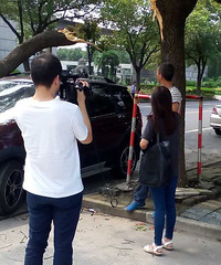 ��̫��������һ˽�ҳ���ʻ�б���֦����