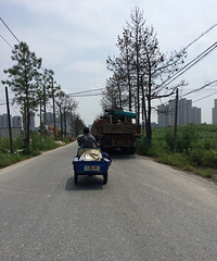 ��ͷ����+��·���ö�