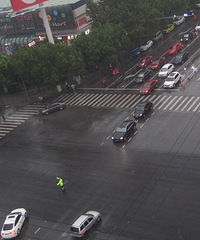 ���źŵ��뽻���ֳ�ָ�ӳ���ì��ʱ  ������ͣ˾����Ϊ��