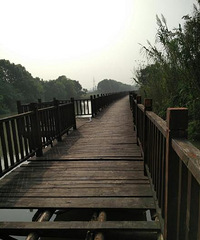 ���ʧ�� �����źþ��հ�����ͼ